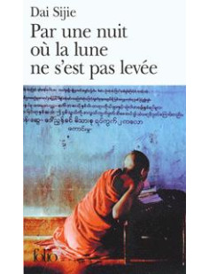 Par une nuit ou la lune ne s-est pas levee