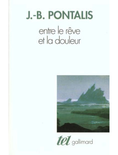 Entre le rêve et la douleur