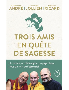 Trois amis en quête de sagesse