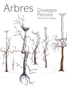 Arbres - giuseppe penone