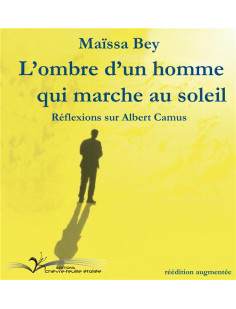 L'ombre d'un homme qui marche au soleil