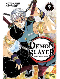 Demon slayer t09