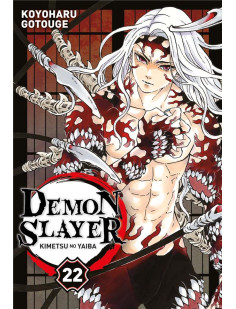 Demon slayer t22