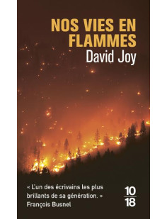 Nos vies en flammes