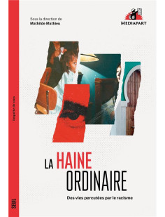 La haine ordinaire - des vies percutees par le racisme