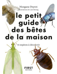 Petit guide d'observation des petites bêtes de la maison