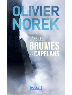 Dans les brumes de capelans