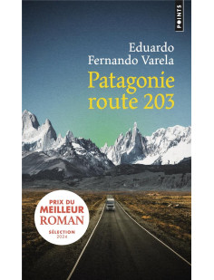 Patagonie route 203