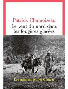 Le vent du nord dans les fougeres glacees