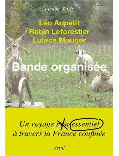 Bande organisée