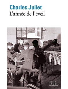 L-annee de l-eveil