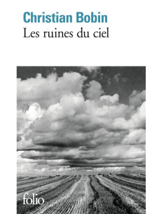 Les ruines du ciel