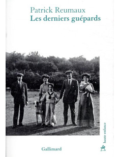 Les derniers guépards