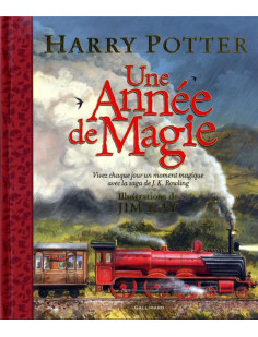 Harry potter - une année de magie