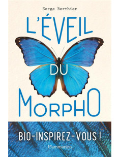 L'éveil du morpho