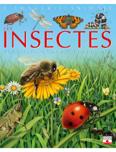 Les insectes