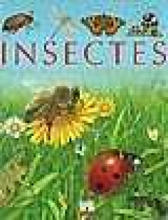 Les insectes