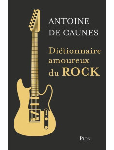 Dictionnaire amoureux du rock - edition collector