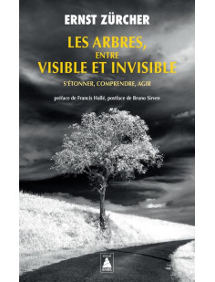 Les arbres, entre visible et invisible