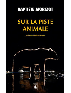 Sur la piste animale