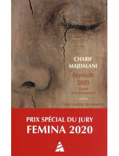 Beyrouth 2020. journal d'un effondrement