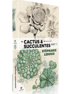 Cactus & succulentes