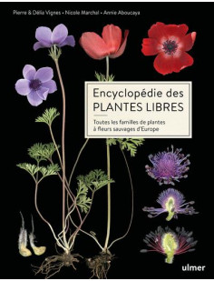 Encyclopédie des plantes libres - toutes les familles de plantes à fleurs sauvages d'europe