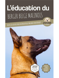 L'éducation du berger belge malinois 