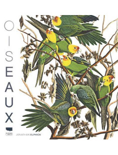 Oiseaux