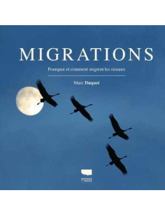 Migrations