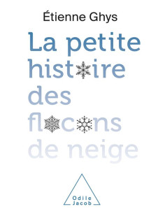 La petite histoire des flocons de neige