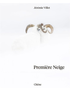 Première neige