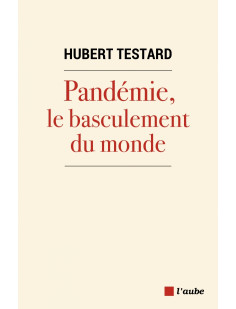 Pandémie, le basculement du monde