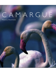 Camargue - photos de henry ausloos