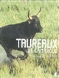 Taureaux de camargue