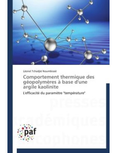 Comportement thermique des geopolymeres a base d'une argile kaolinite  -  l'efficacite du parametre temperature