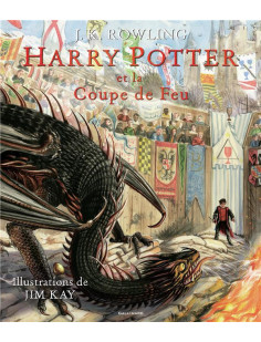 Harry potter tome 4 : harry potter et la coupe de feu