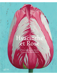 Hyacinthe et rose