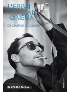 L'essai au cinéma - de chaplin à godard