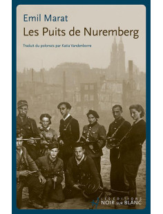 Les puits de nuremberg