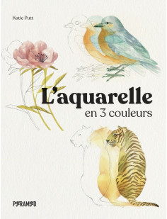 L'aquarelle en trois couleurs