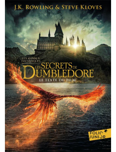 Les secrets de dumbledore