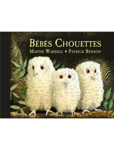 Bébés chouettes