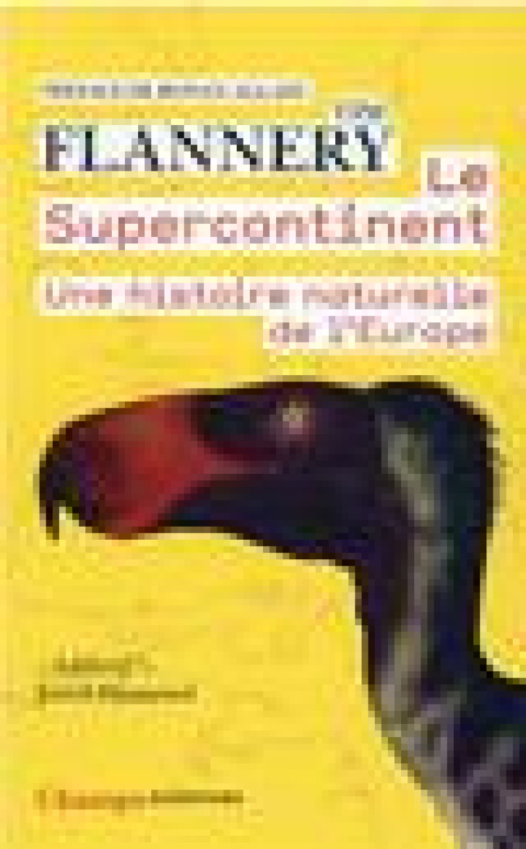 LE SUPERCONTINENT - UNE HISTOIRE NATURELLE DE L'EUROPE - FLANNERY/ALLAIN - FLAMMARION