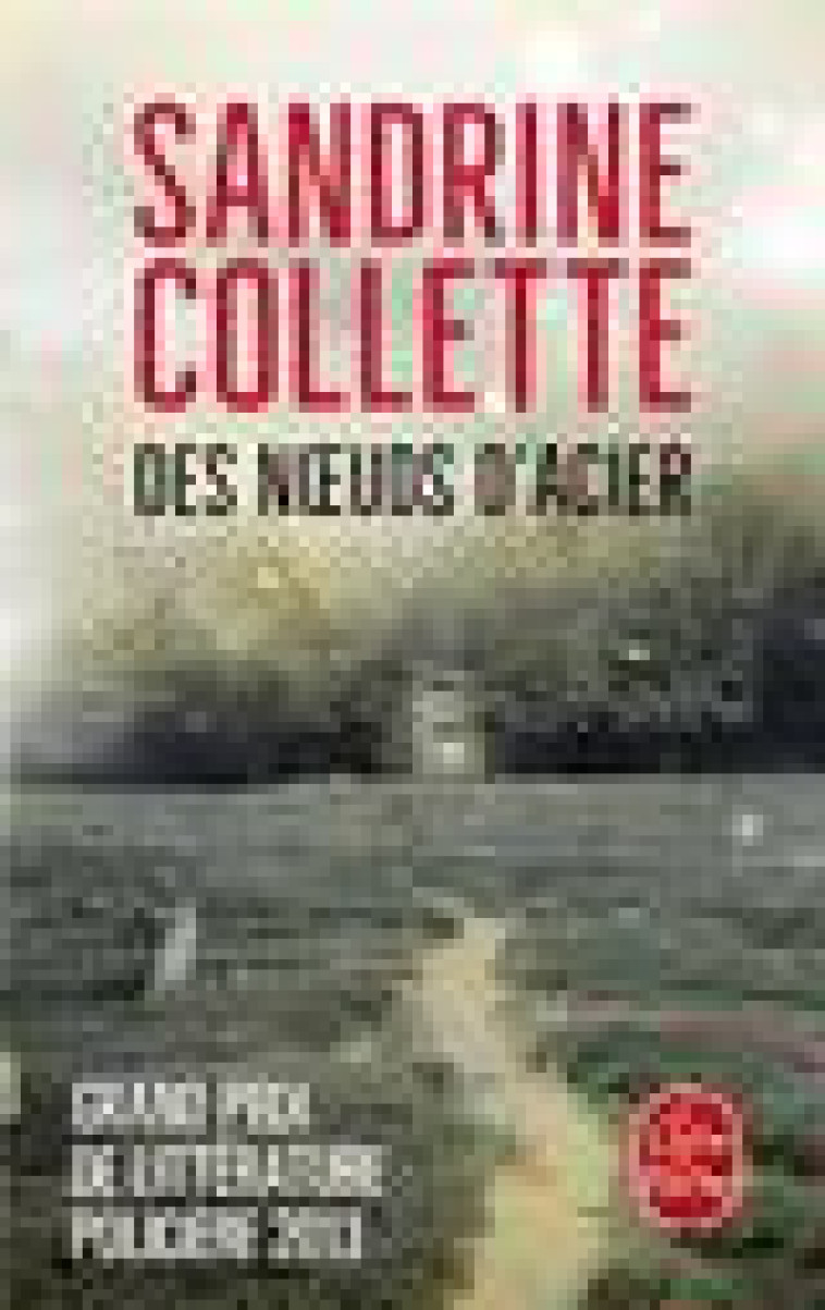 DES NOEUDS D'ACIER - COLLETTE SANDRINE - Le Livre de poche