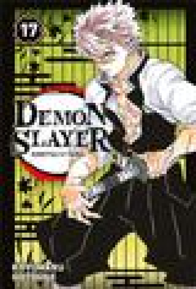 DEMON SLAYER T17 - GOTOUGE KOYOHARU - PANINI COM MAG