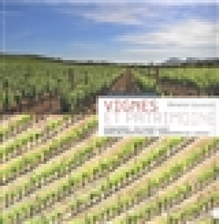 VIGNES ET PATRIMOINE - C.CAYSSIOLS - Alcide