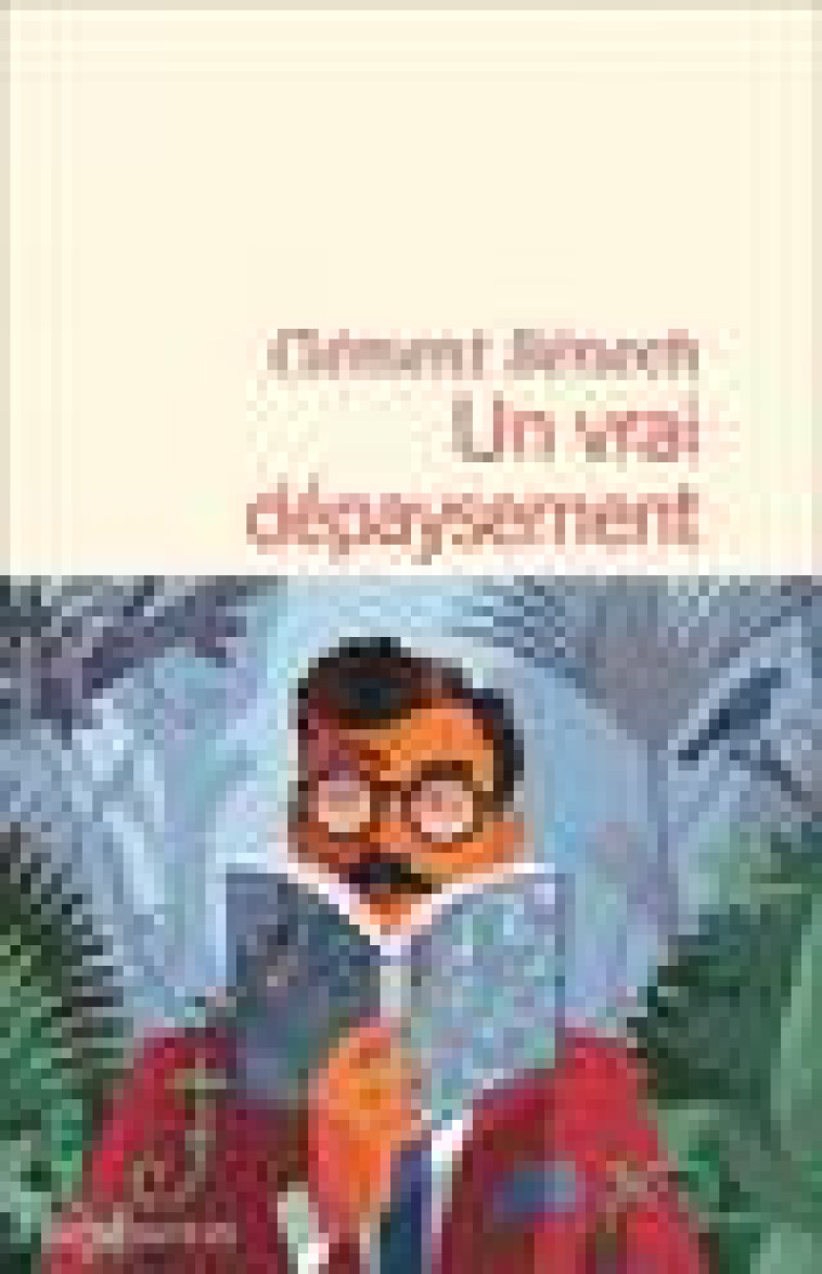 UN VRAI DEPAYSEMENT - BENECH CLEMENT - FLAMMARION