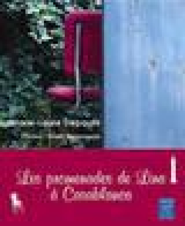 LES PROMENADES DE LINA A CASABLANCA - DEPAULIS, MARIE-LAURE  - YANBOW AL KITAB