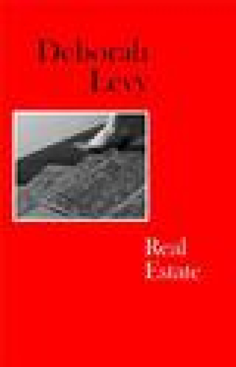 DEBORAH LEVY REAL ESTATE (HARDBACK) /ANGLAIS - LEVY DEBORAH - NC